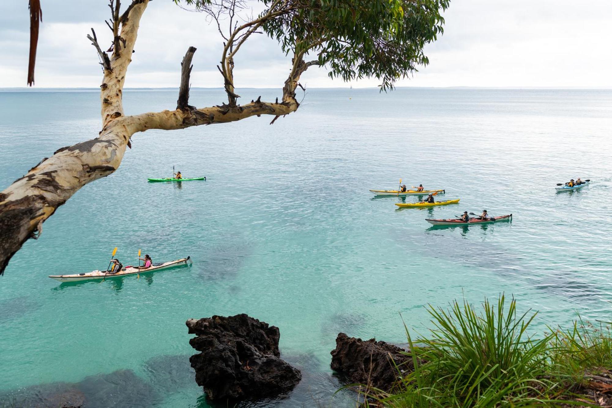 Bay And Bush Jervis Bay Huskisson Exterior foto