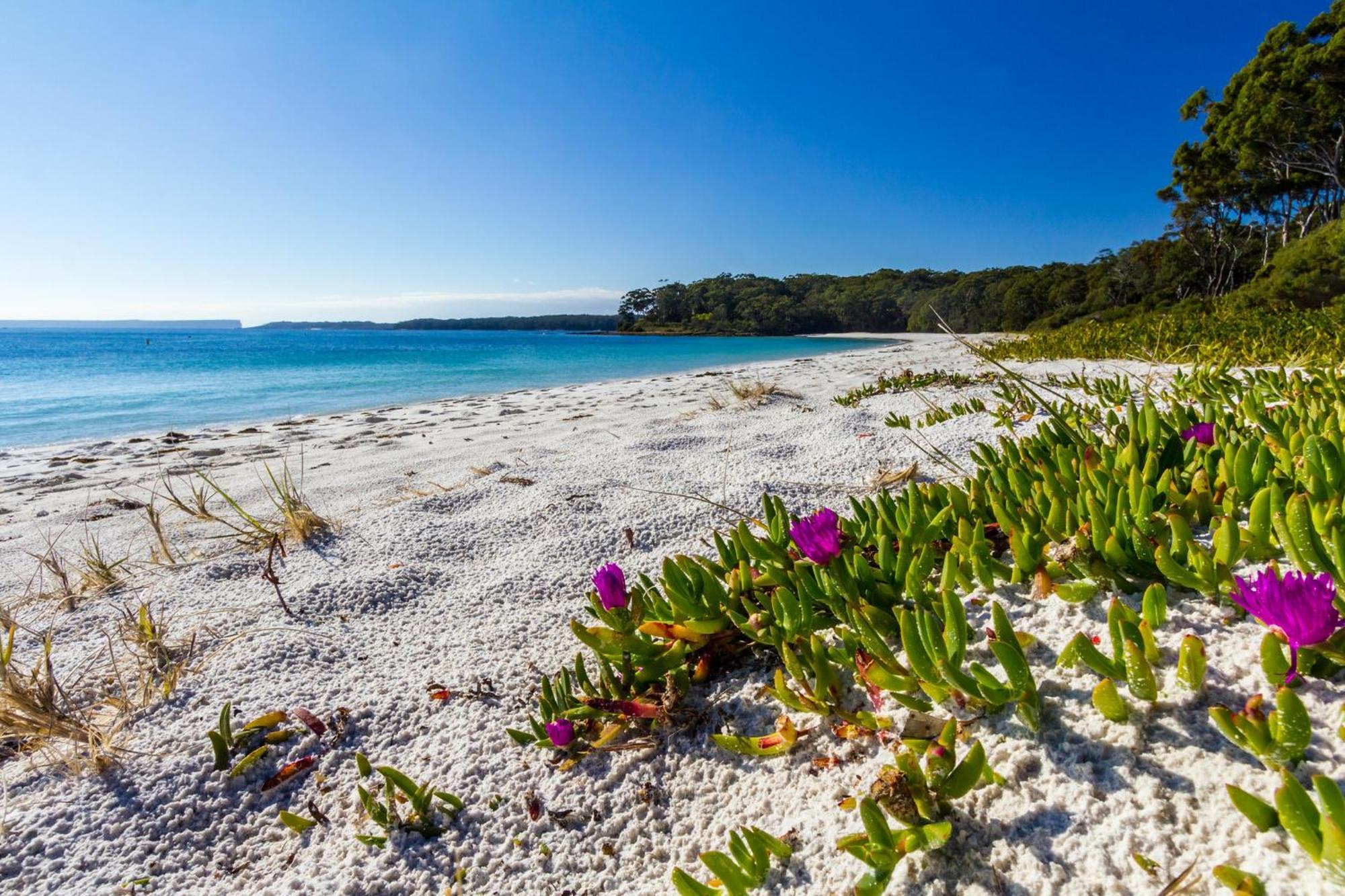 Bay And Bush Jervis Bay Huskisson Exterior foto