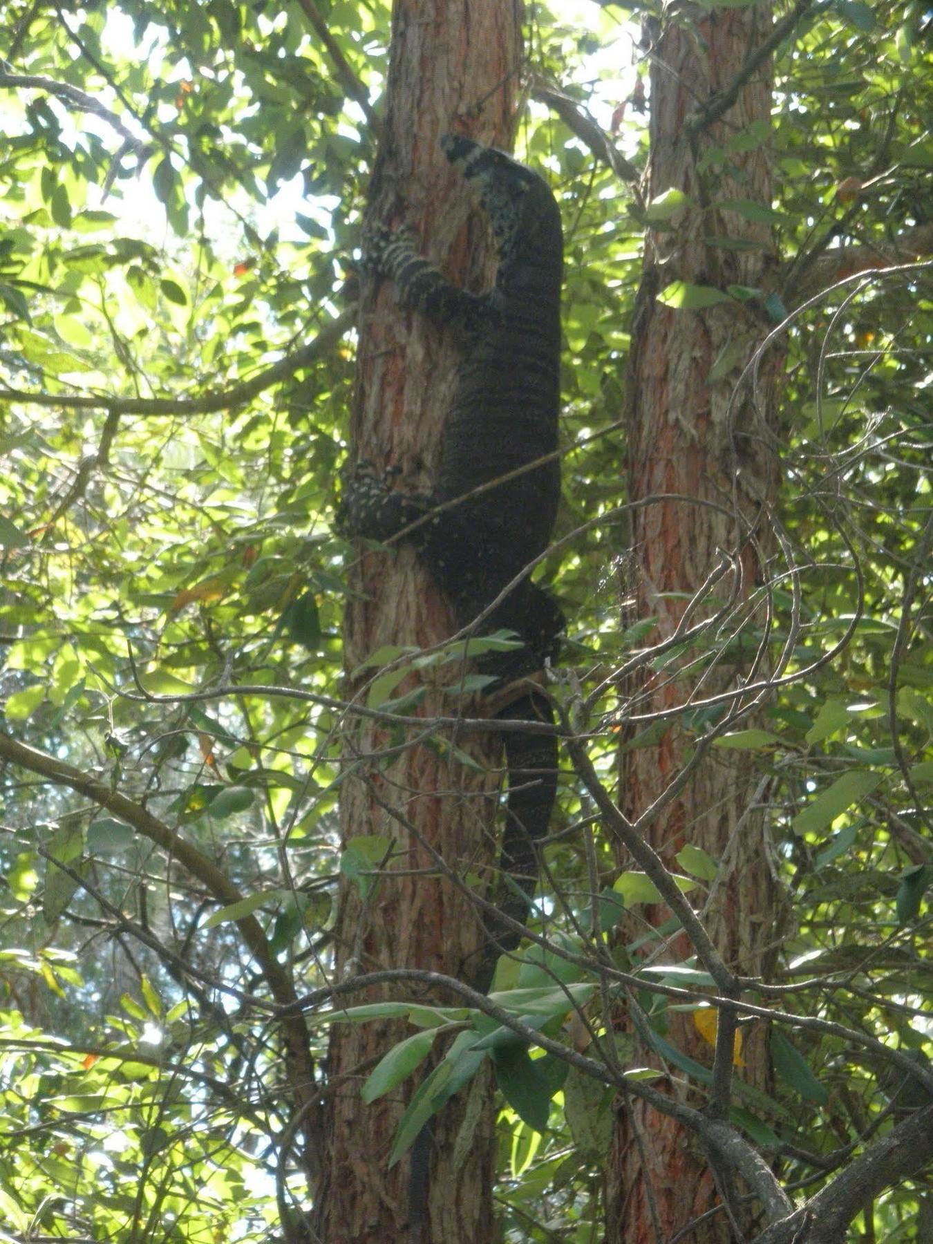 Bay And Bush Jervis Bay Huskisson Exterior foto